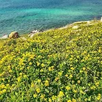 בית נופש Salento 2 *