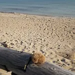 Salento 2 בית נופש