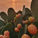 בית נופש Salento 2 *