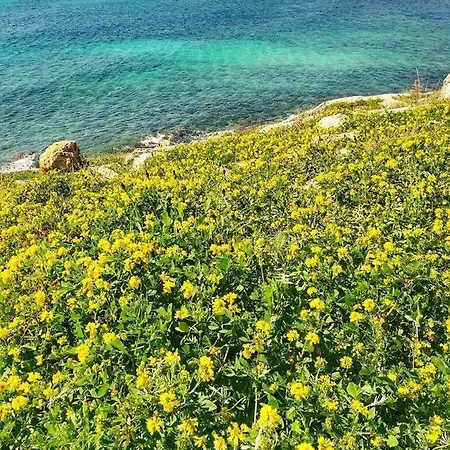Casa vacanze Salento 2 *