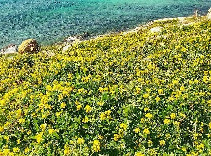 Ferienhaus Salento 2 *